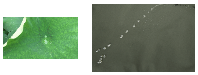 金年会|jinnianhui医用纺织