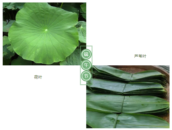 金年会|jinnianhui医纺