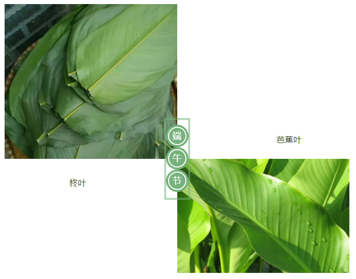 金年会|jinnianhui医纺