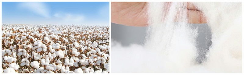 金年会|jinnianhui医纺