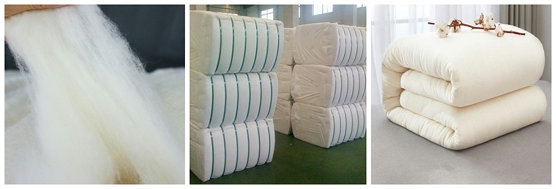 金年会|jinnianhui医纺