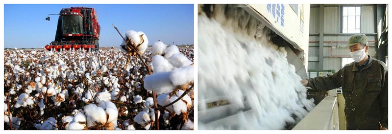 金年会|jinnianhui医纺