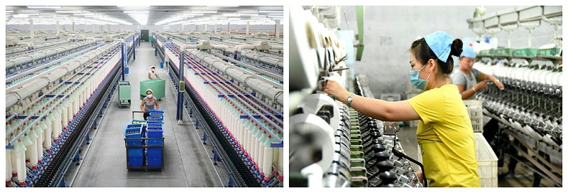 金年会|jinnianhui医纺