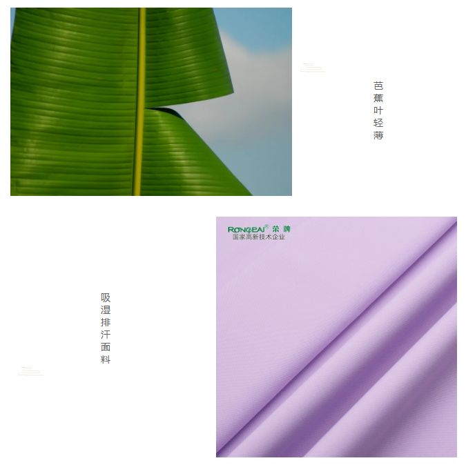 金年会|jinnianhui医纺