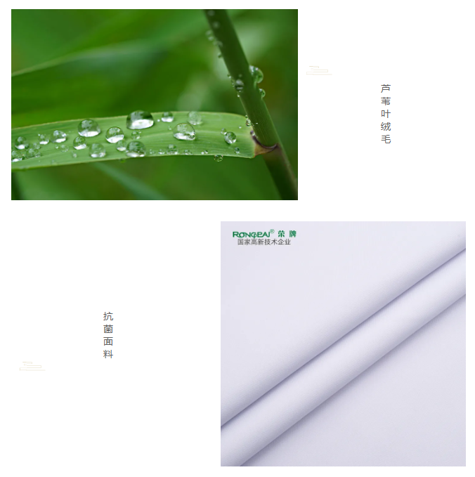 金年会|jinnianhui医纺