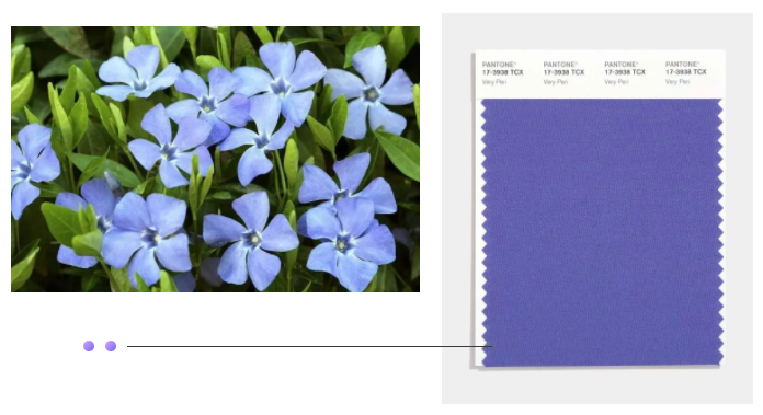 金年会|jinnianhui纺织面料