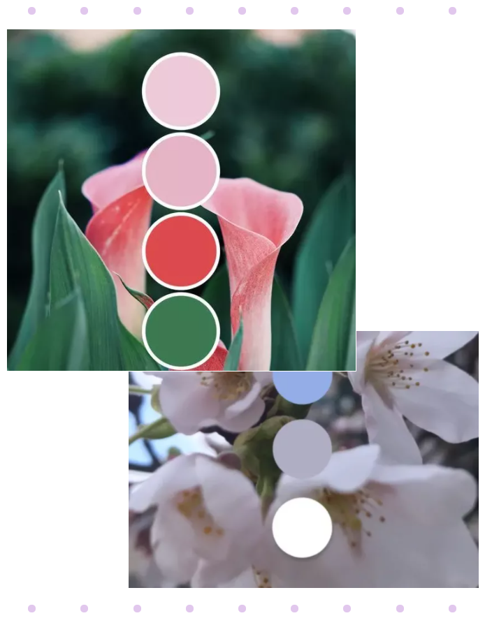 金年会|jinnianhui纺织面料