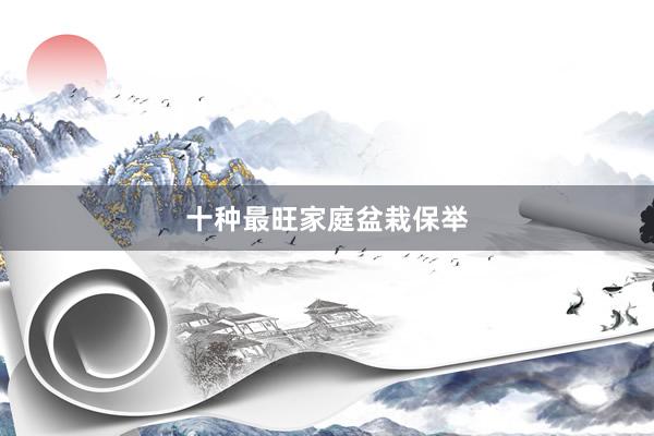 十种最旺家庭盆栽保举