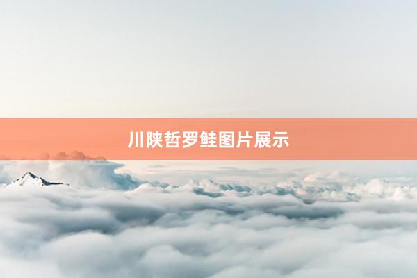 川陕哲罗鲑图片展示