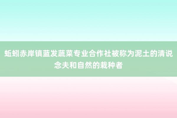 蚯蚓赤岸镇蓝发蔬菜专业合作社被称为泥土的清说念夫和自然的栽种者