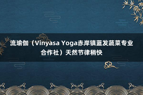 流瑜伽（Vinyasa Yoga赤岸镇蓝发蔬菜专业合作社）天然节律稍快