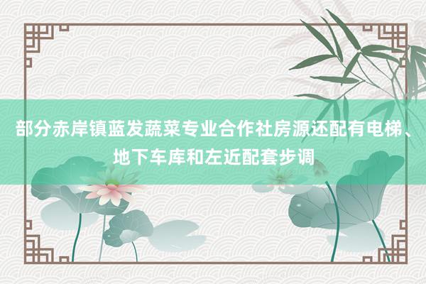 部分赤岸镇蓝发蔬菜专业合作社房源还配有电梯、地下车库和左近配套步调