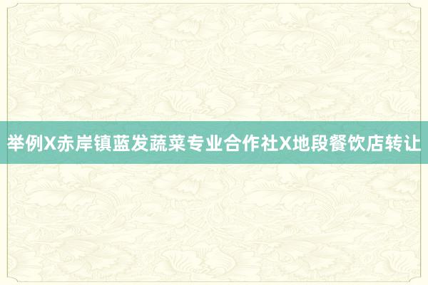 举例X赤岸镇蓝发蔬菜专业合作社X地段餐饮店转让